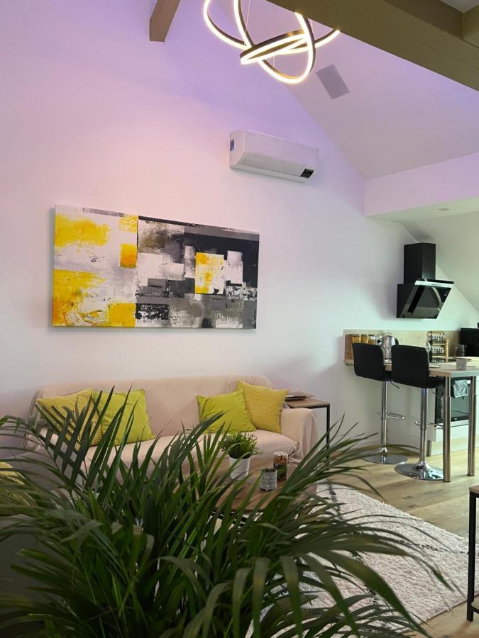 Appartement Loft ravissant avec parking gratuit à Colmar Extérieur photo