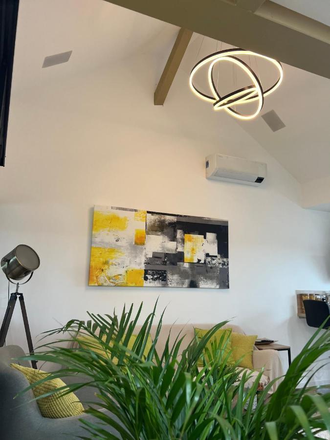 Appartement Loft ravissant avec parking gratuit à Colmar Extérieur photo